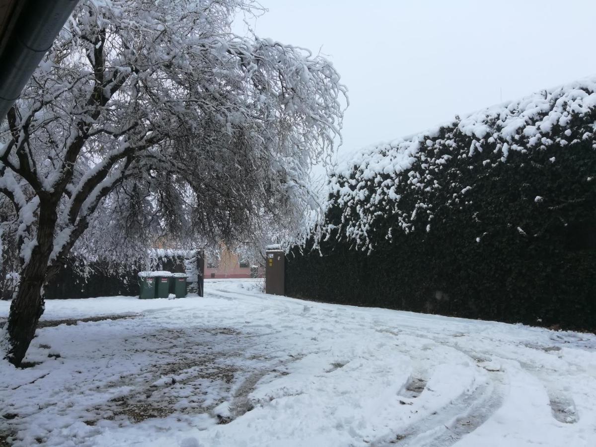 Szent István Panzió Hódmezővásárhely Esterno foto